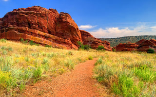 Top Hiking Trails Near Denver for Every Skill Level (With AllTrails Links)